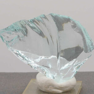 Gem Aqua Serenity Monatomic Andara Crystal 48.0 g.